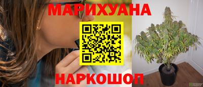 СК Ярославль